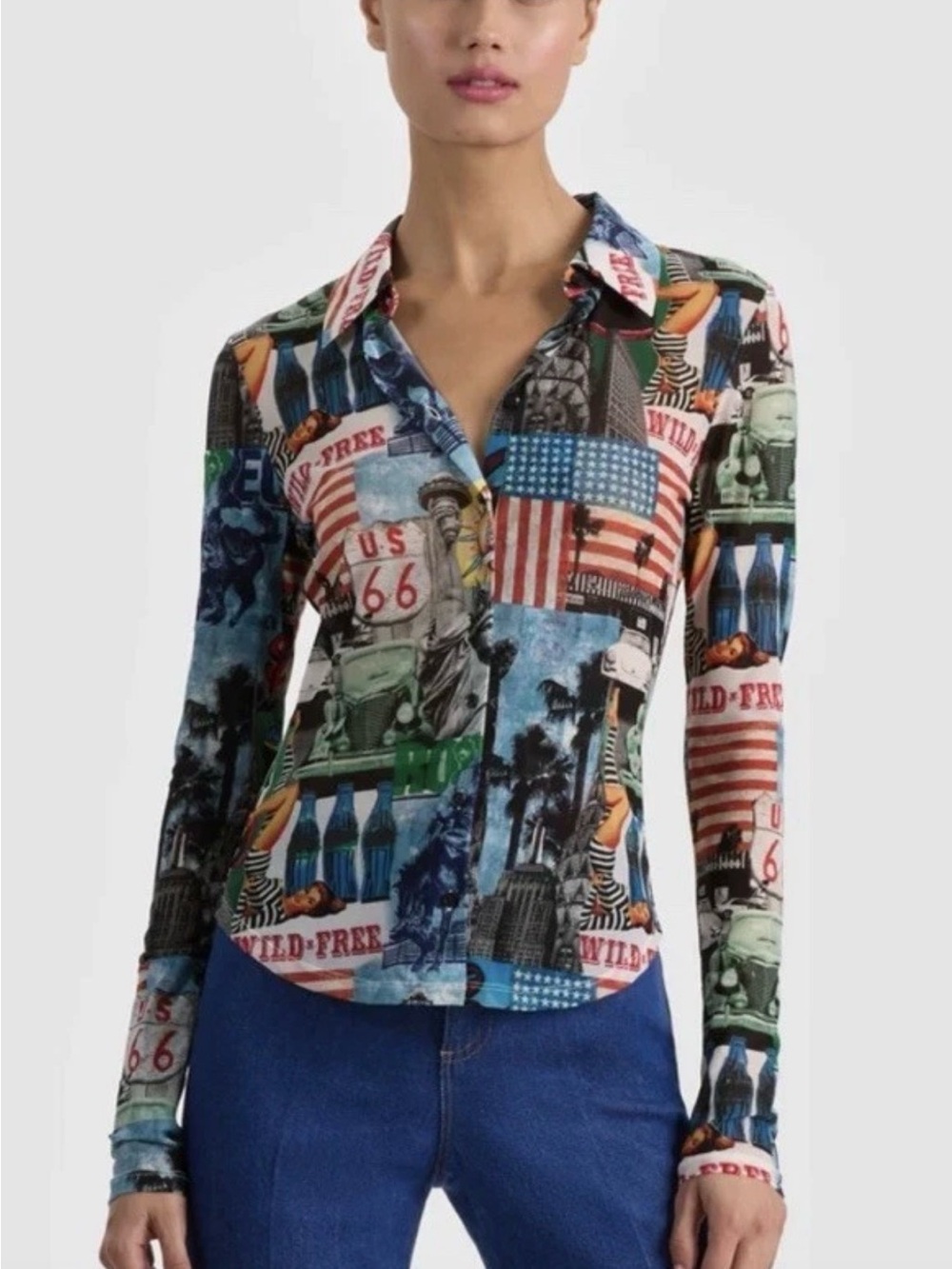 Alice & Olivia Mesh Jade Blouse In Open Road Rebellious & Free NWT Sz Med